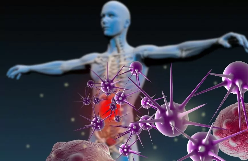 Système immunitaire et CBD : un équilibre complexe